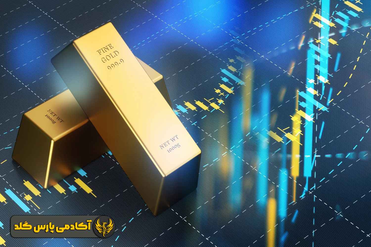 شناسایی نقاط ورود و خروج