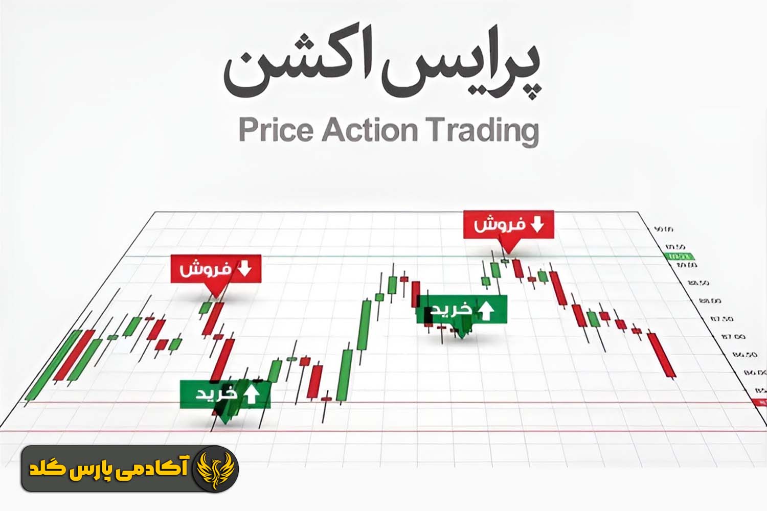 اهمیت و نقش پرایس اکشن در معاملات طلا