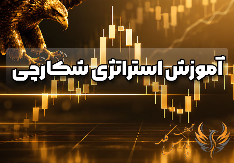 آموزش استراتژی شکارچی